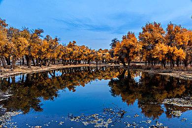 云顶之弈S9.5霞阵容搭配，S9.5霞阵容装备站位攻略